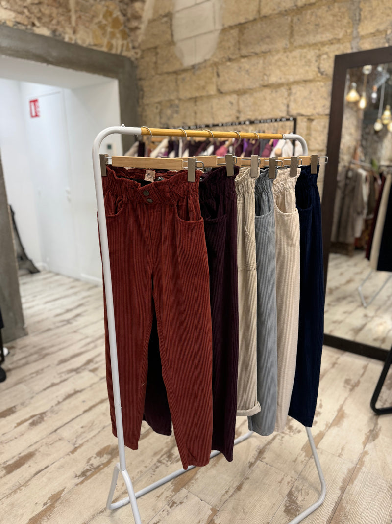 Pantalon en velours Arty - 6 couleurs