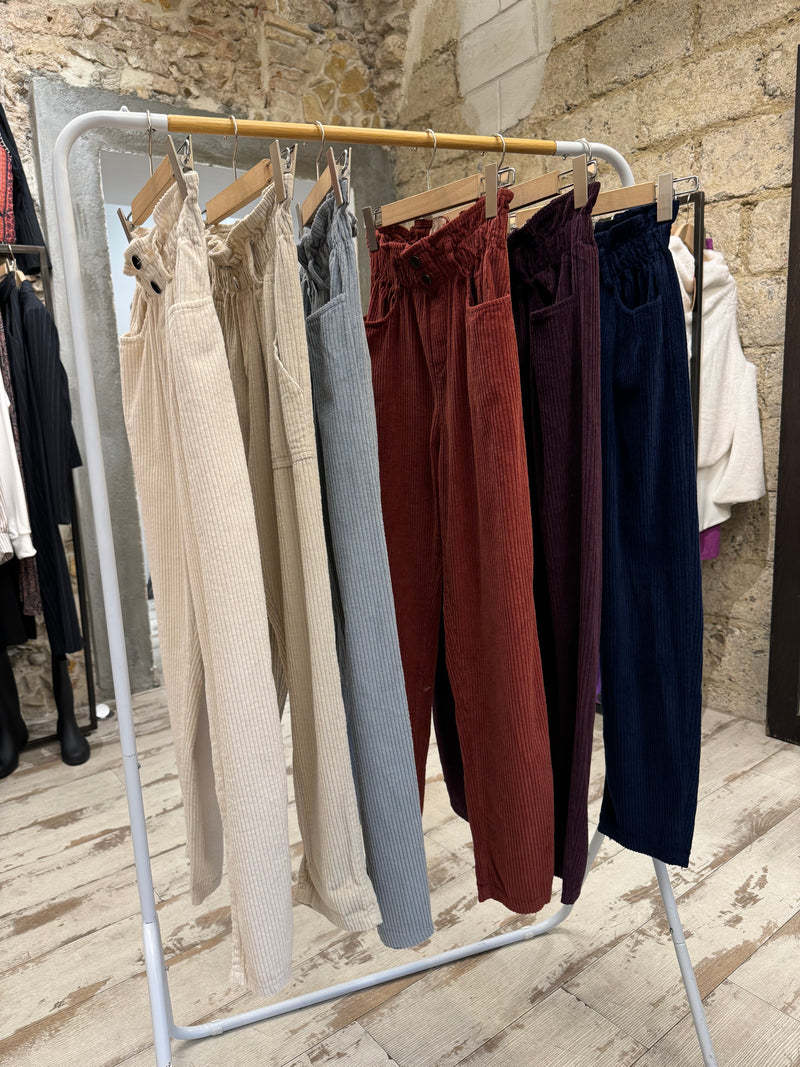 Pantalon en velours Arty - 6 couleurs